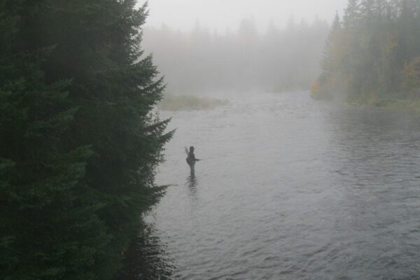 COLD WEATHER FLY FISHING