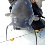 Ice Fishing For Catfish: An Ultimate Guide To Catching The Big One This Winter!