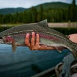 BEST STEELHEAD Spots In New York