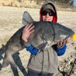 HUDGE 47-Pound Catfish